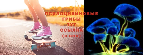 молекула духа Алексеевка