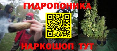 ГАЛЛЮЦИНОГЕННЫЕ ГРИБЫ Волжск