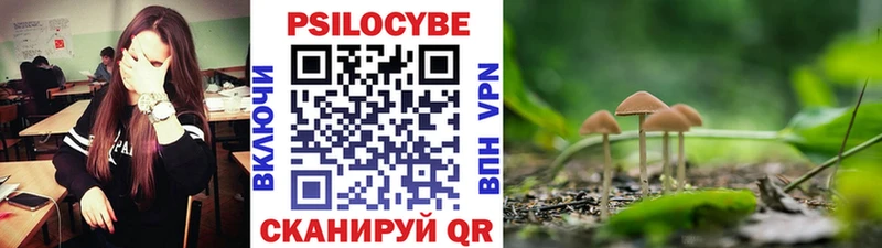 Галлюциногенные грибы мицелий  Можга 