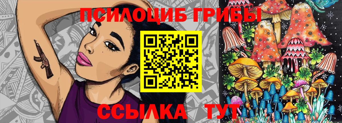Псилоцибиновые грибы Cubensis  Вход с VPN  Псилоцибиновые грибы мицелий  Можга 