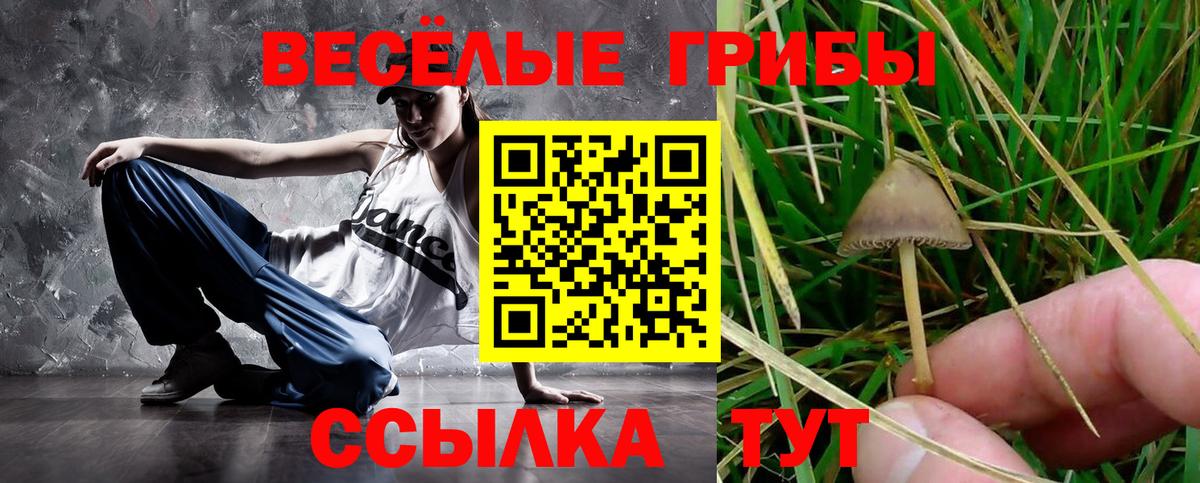 Галлюциногенные грибы ЛСД Можга